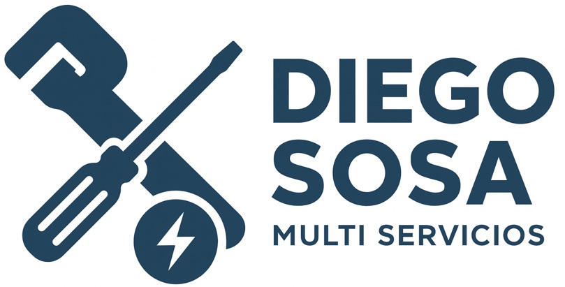 DS-Multiservicios